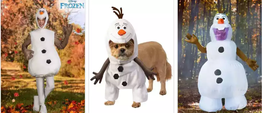 Frozen Costumes for Adults and Pets